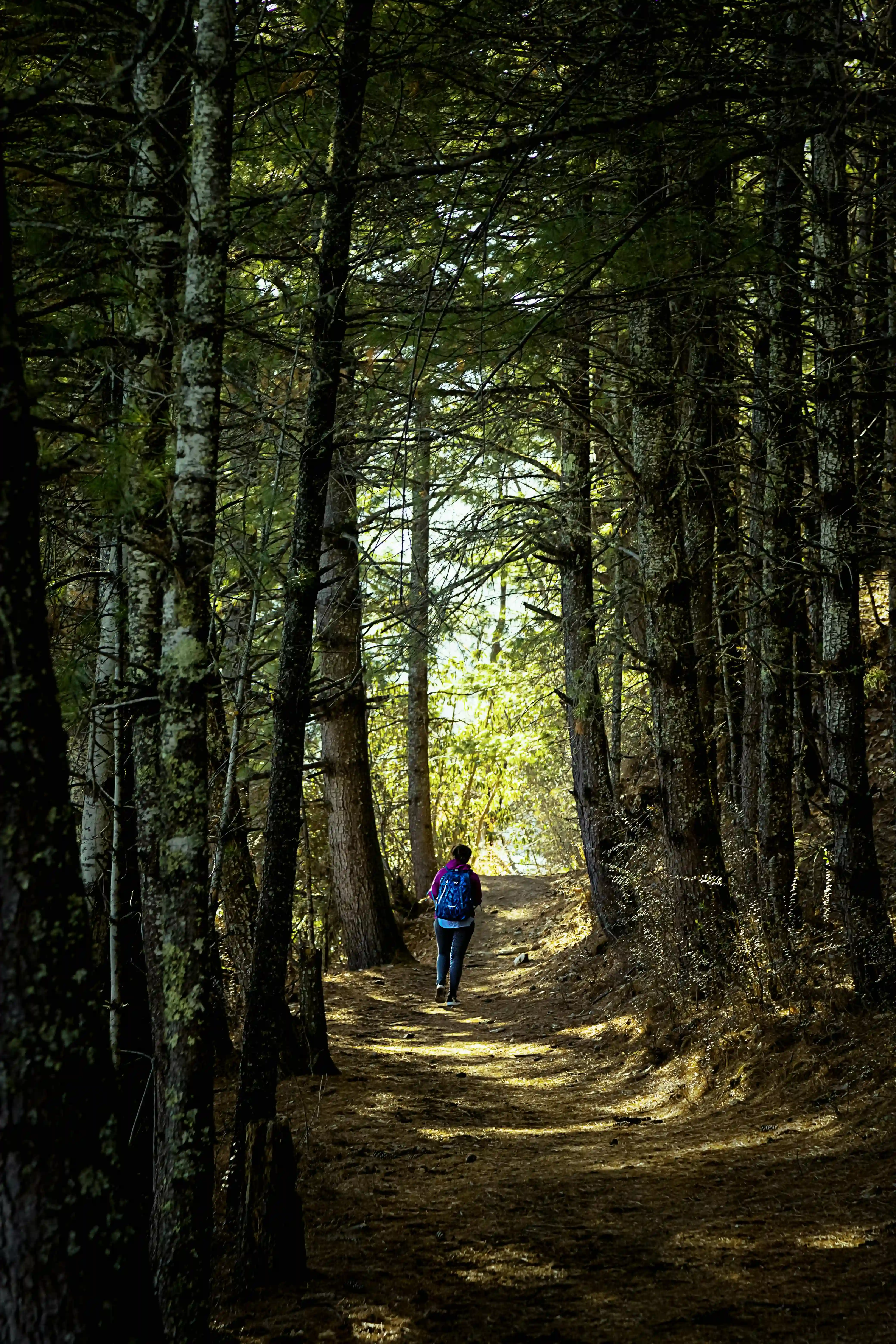 Rara Lake Tour gallery 4