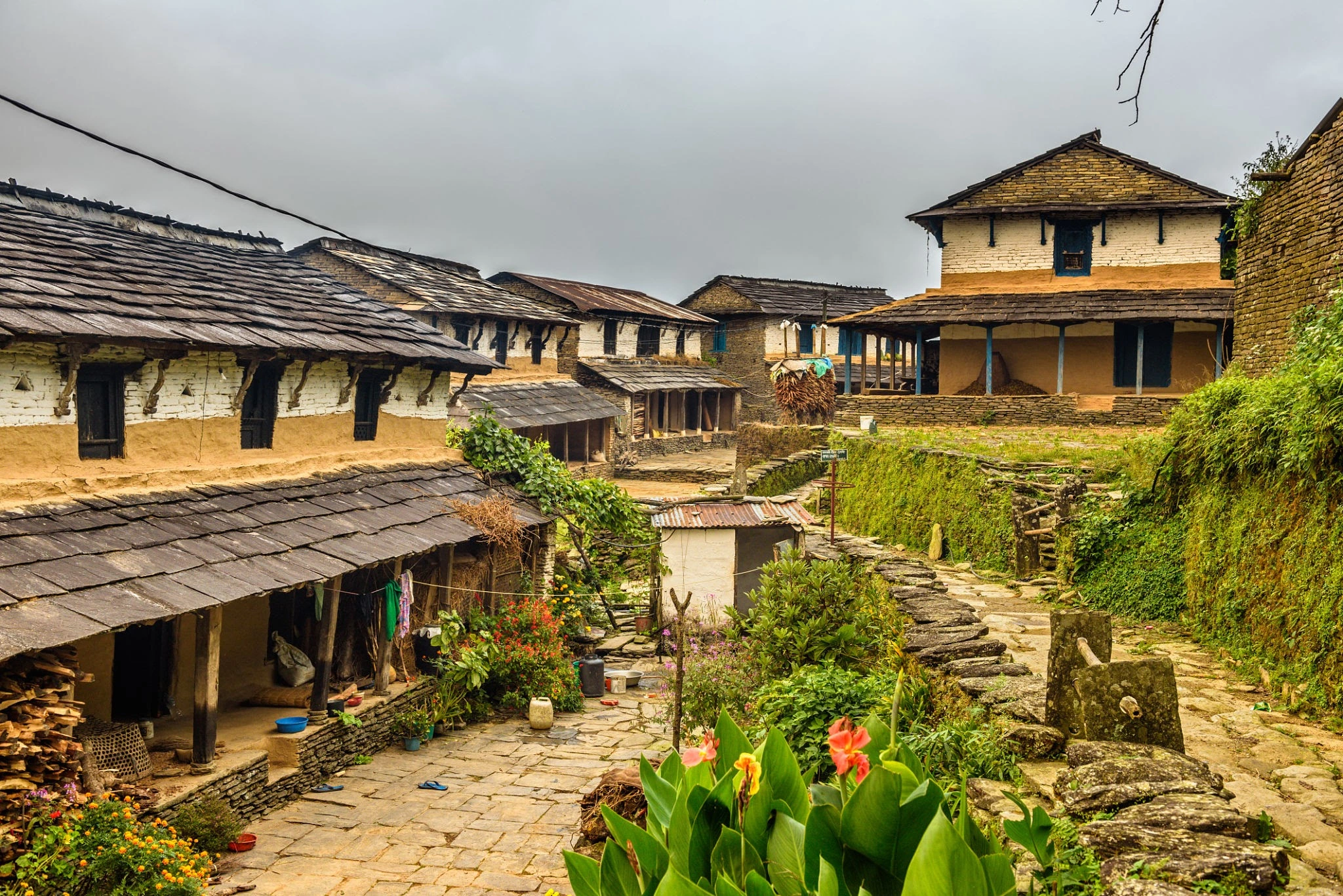 Ghandruk-Dhampus Cultural Tour