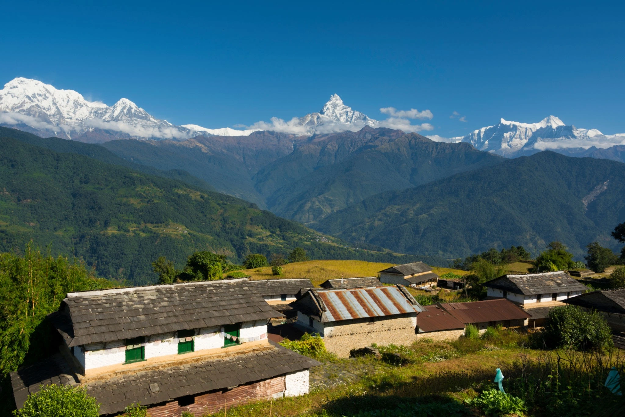 Dhampus Cultural Tour