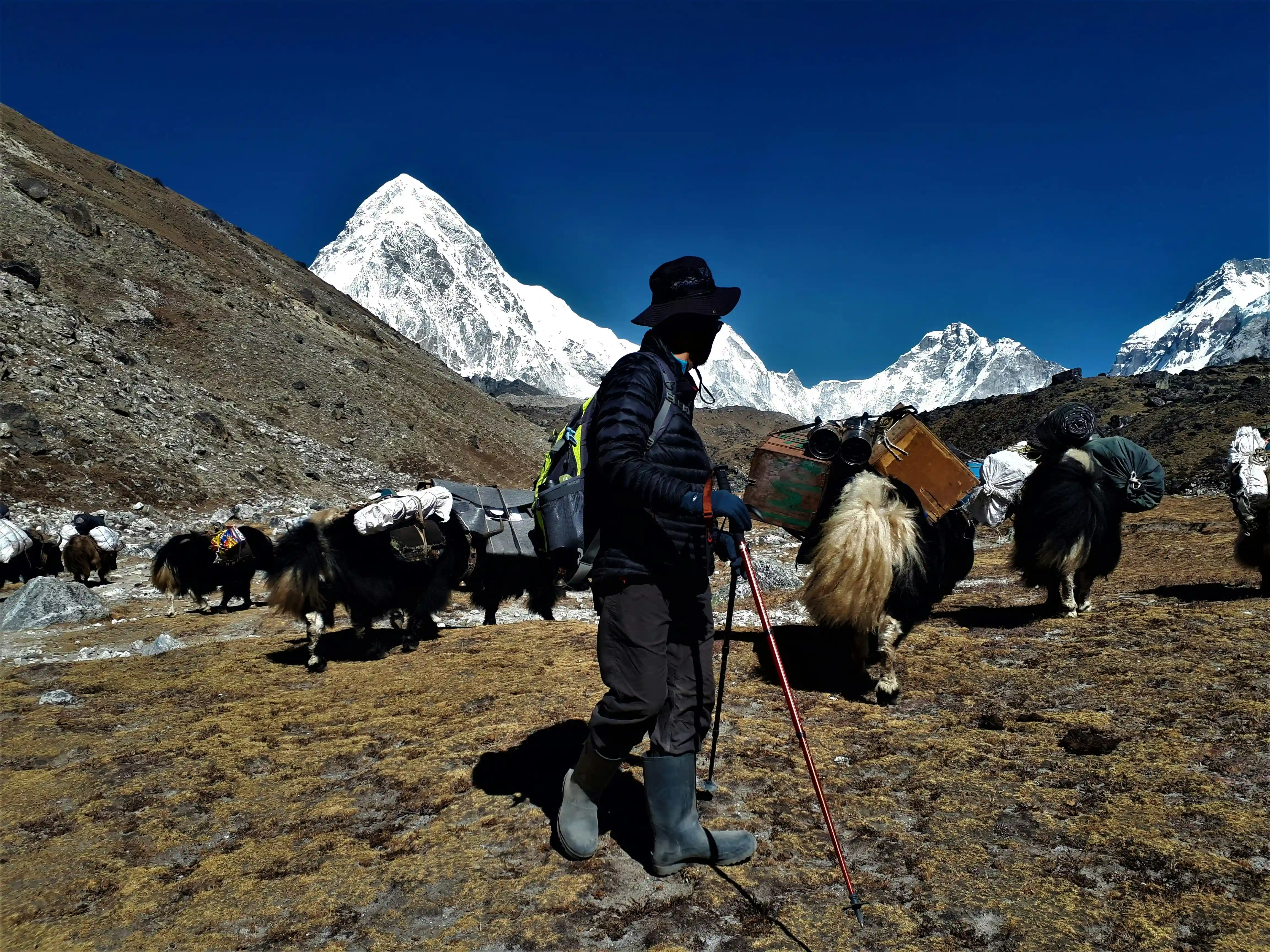 The Best Trekking Destination in Nepal