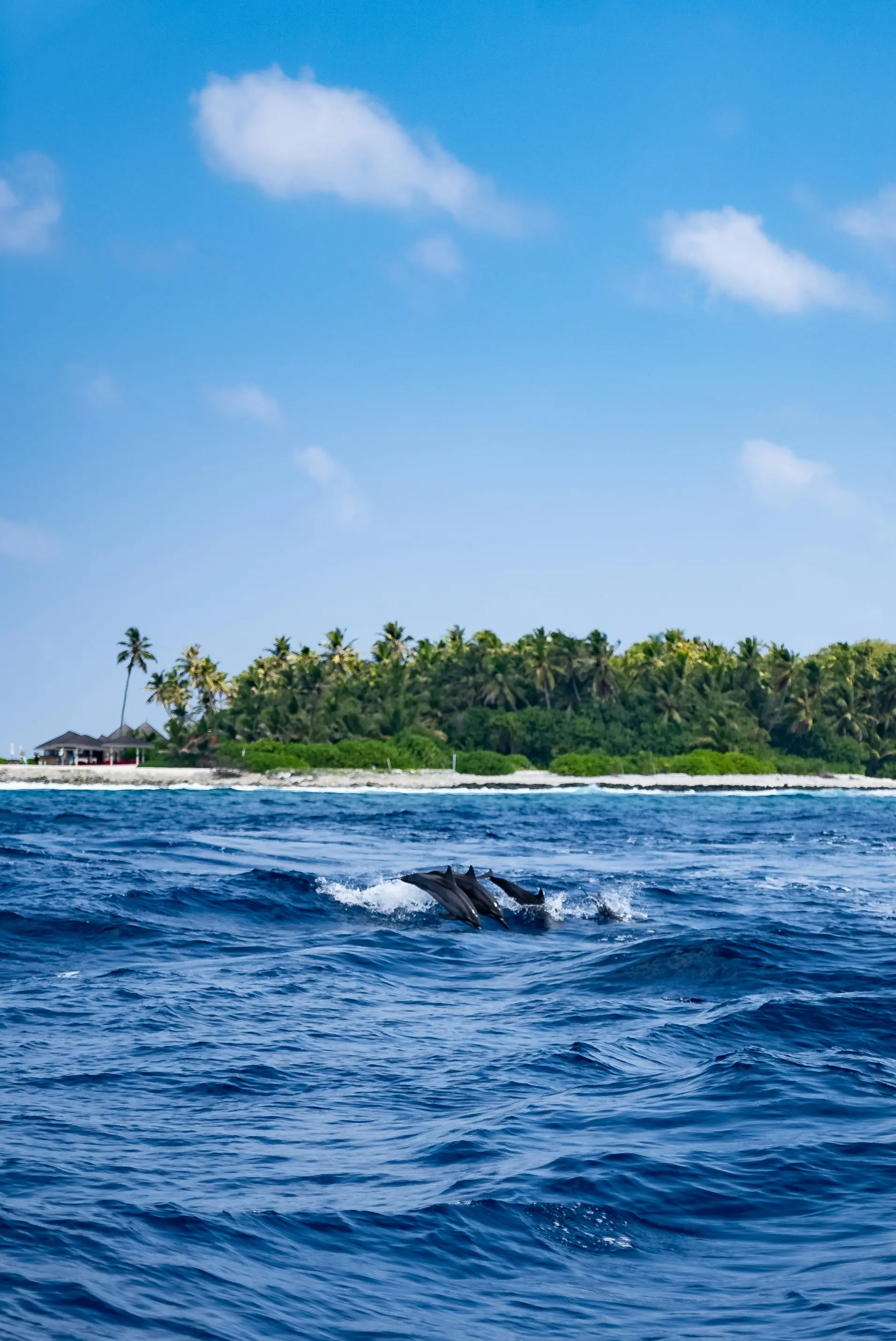 Maafushi Island Couple Package gallery 4