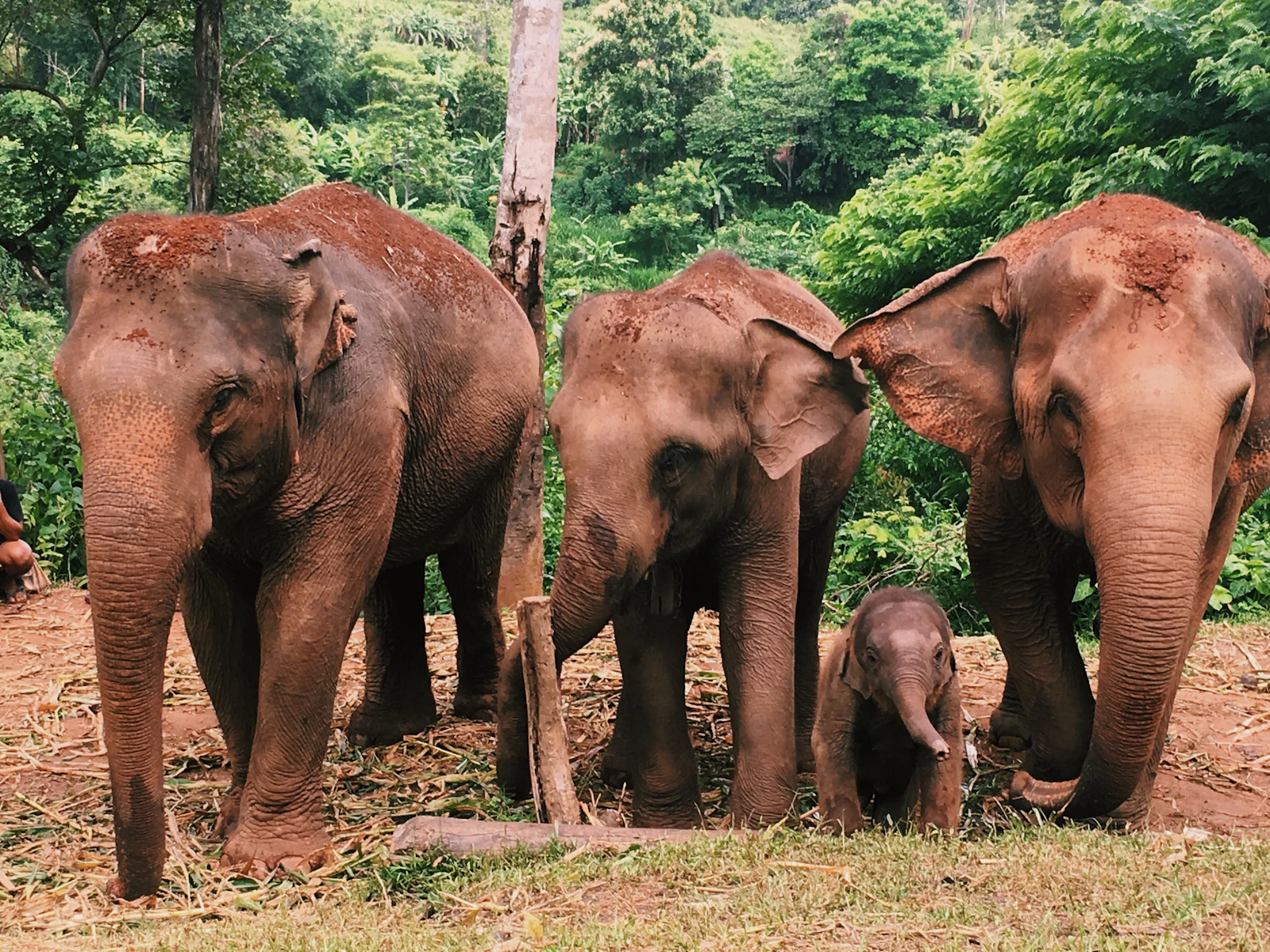 Chiang Mai & Chiang Rai gallery 3