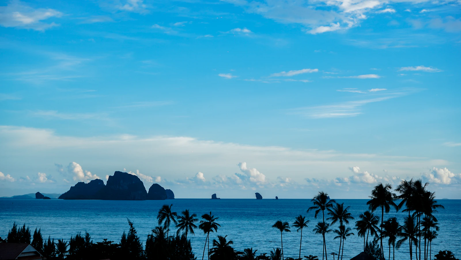 Palm tree silhouetted against the sea at Ao Nang beach, Krabi
