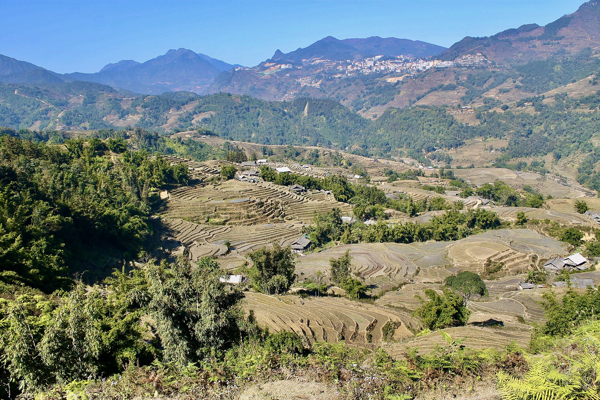 Rice terraces on the hillsides near Sapa