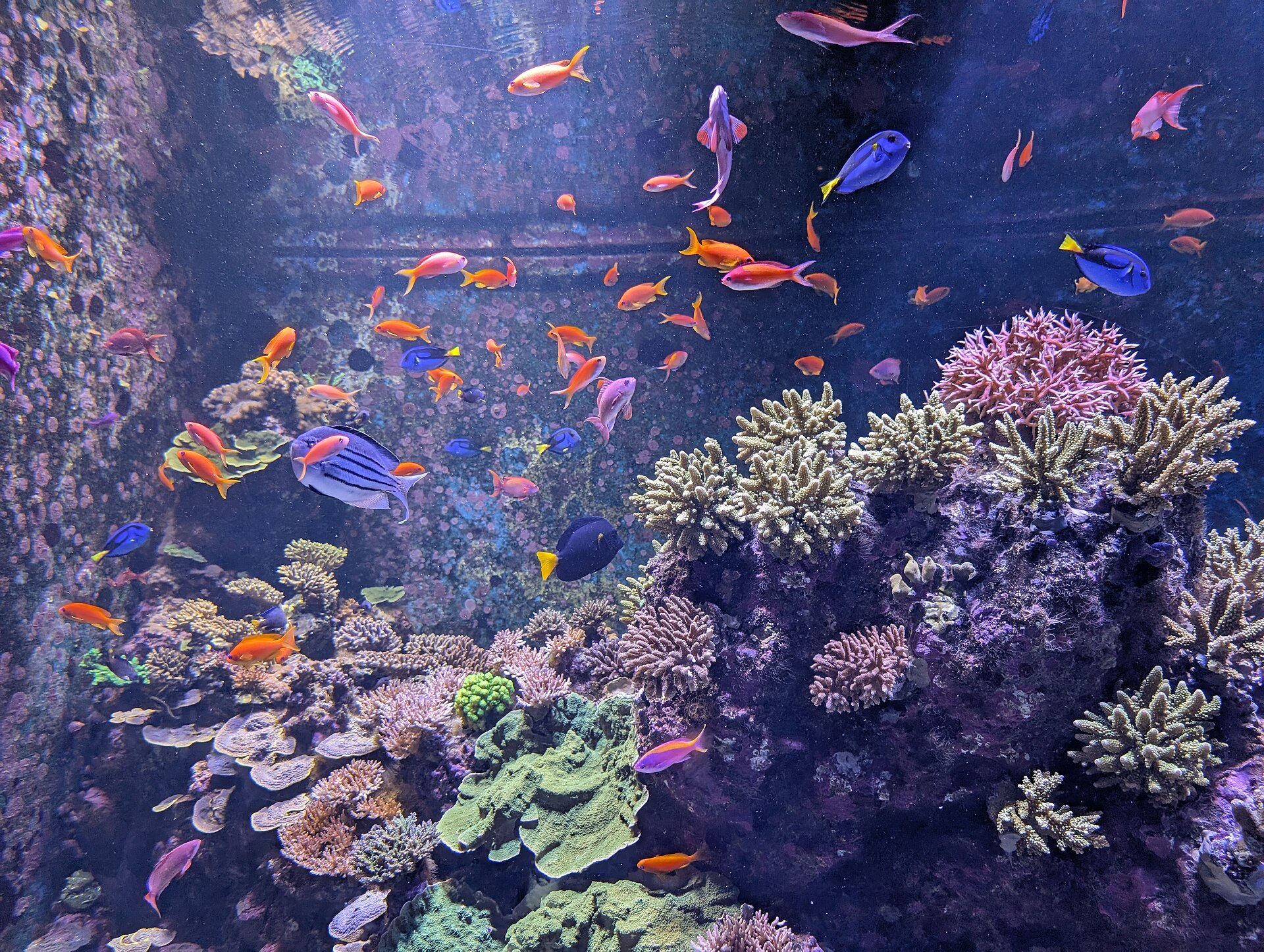 Sentosa Island Holiday gallery 3