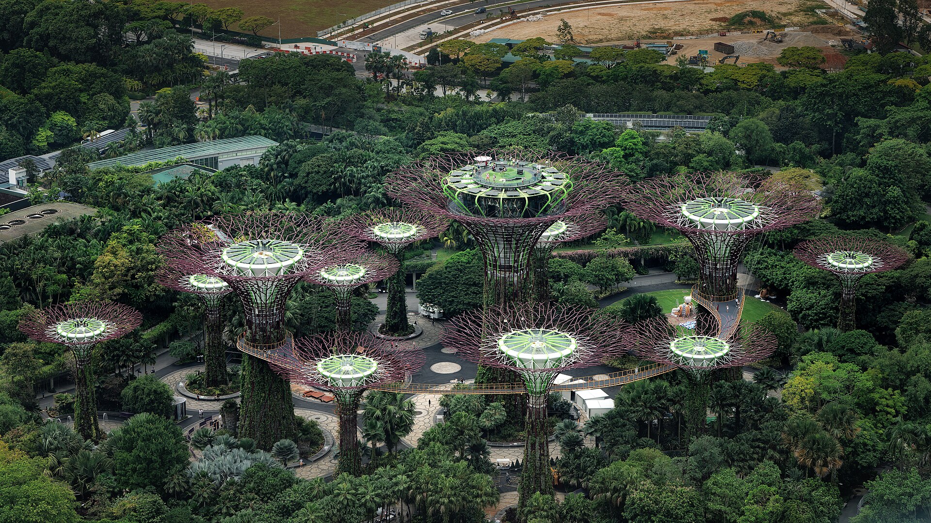 The Supertree Grove and its skyway among the trees of Gardens by the Bay, seen from above
